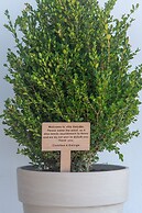 Villa Karydia with private pool