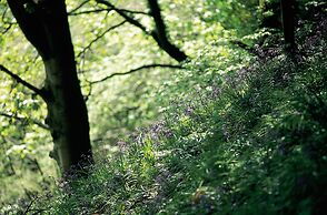 Charming Yurt in Kelburn Estate Near Largs