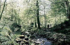 Stunning Premium Yurt in Kelburn Estate Near Largs