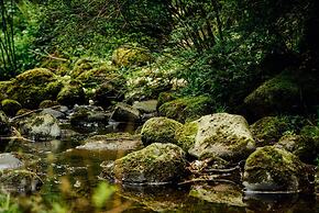 Stunning Premium Yurt in Kelburn Estate Near Largs