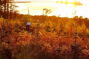 Stunning Premium Yurt in Kelburn Estate Near Largs