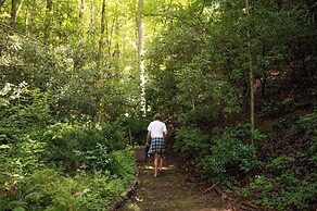 Meraki Escape -  Log Cabins w/Hot Tubs + Pet Friendly