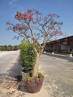 PUENG LUANG RESORT.