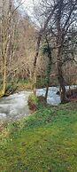 Le Clos Du Tulipier