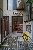 Anima 65 by Ahead