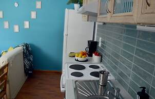 Chrismma Apartment With Private Yard, Parking