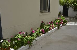 Chrismma Apartment With Private Yard, Parking