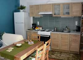 Chrismma Apartment With Private Yard, Parking