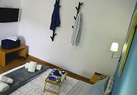 Chrismma Apartment With Private Yard, Parking