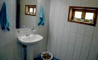 Chrismma Apartment With Private Yard, Parking