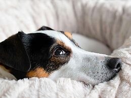 Ibis Budget Tours Sud