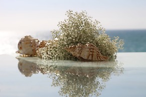 Vila Aldeamento do Levante