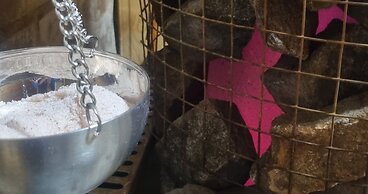 Angela's Hideaway - 2 Beds - Hot Tub - Sauna