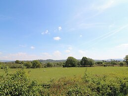 Kerry Hill - The Sheepfold