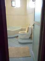 Greenery Bubble Apartment