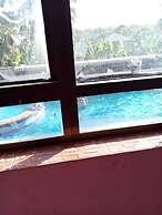 Greenery Bubble Apartment