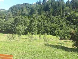 House With big Garden, Next to the Mountain River