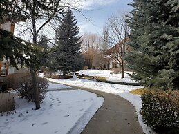 Family Vacation~heated In/out Pool, Tubing & Ice Skating 719 3 Bedroom