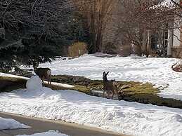 Family Getaway~pool, Hot Spring, Scuba & Ice Castles 727 4 Bedroom Hom