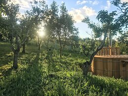 The Far End Surf House