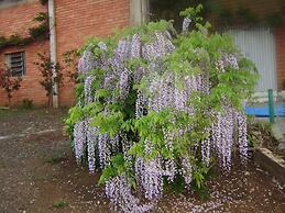 Harry World Parque Hotel