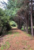 Harry World Parque Hotel