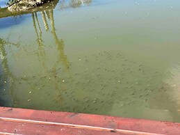 Casa de Campo de Alto Padrão