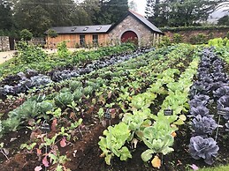 Eldon's Bed & Breakfast