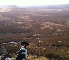 Eldon's Bed & Breakfast