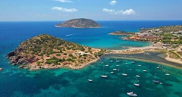 Platanus Gardenhouse