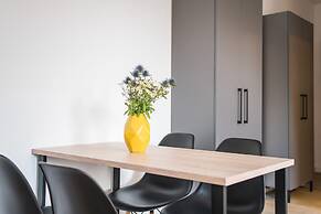 Homaris Boxi Studios