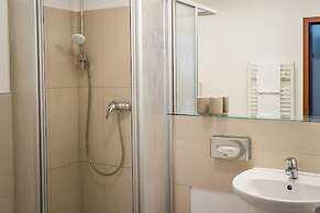 Homaris Boxi Studios