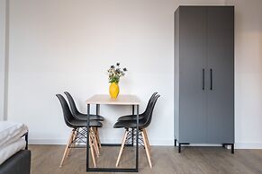 Homaris Boxi Studios