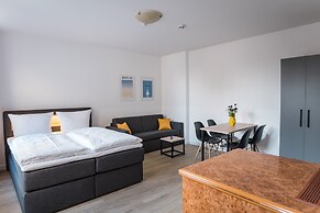 Homaris Boxi Studios