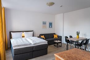 Homaris Boxi Studios