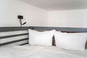 Homaris Boxi Studios