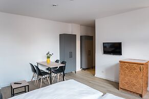 Homaris Boxi Studios