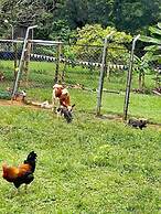 Hotel Sunrise Guamal