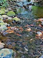 Hotel Sunrise Guamal