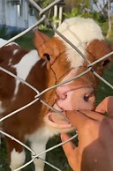 Hotel Sunrise Guamal