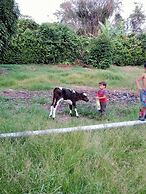 Hotel Sunrise Guamal