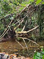 Hotel Sunrise Guamal