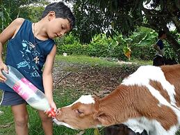 Hotel Sunrise Guamal