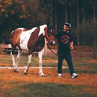 Experiencia Mi Tesoro