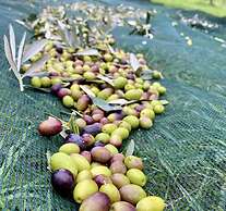 Agriturismo La Corte del Sole