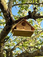 Agriturismo La Corte del Sole