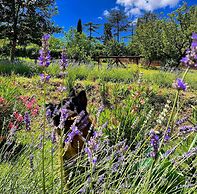 Agriturismo La Corte del Sole