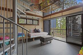 Gold Coast Tree Houses