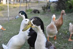 Gold Coast Tree Houses