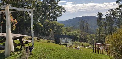 Gold Coast Tree Houses